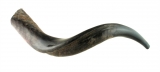 Small Yemenite Shofar - Half Polished Half Natural