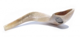 Large Rams Horn Shofar - Polished