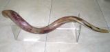Lucite Yemenite Shofar Stand