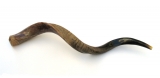Medium Yemenite Shofar - Half Polished Half Natural