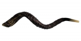 Yemenite Leather Decorated Shofar
