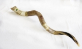 Jumbo Yemenite Hand Painted Shofar - Jerusalem with Olive Tree