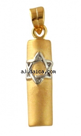 Gold Filled Star of David Mezuzah Pendant by aJudaica