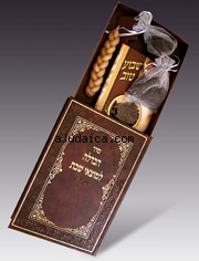 Elegant Travelling Havdalah Gift Set by aJudaica