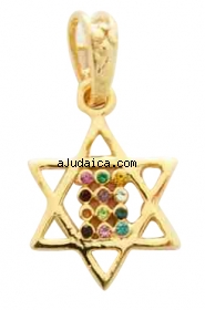 Gold Filled Mini Twelve Tribes Star of David Pendant by aJudaica
