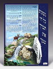 "Nishmat Kol Chai" Poster by aJudaica