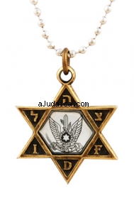 Israeli Army Star of David Bronze Pendant - Air Force by aJudaica