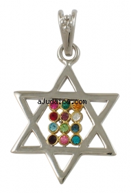Gold Filled Rhodium Twelve Tribes Star of David Pendant by aJudaica