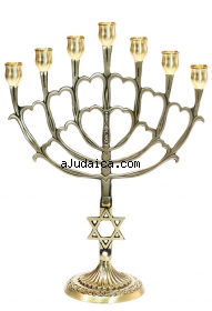 Seven Branch Large Cup Menorah - Star of David by aJudaica
