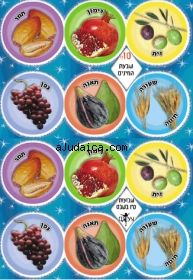 Seven Species Stickers by aJudaica