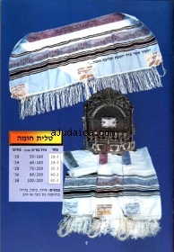 Jerusalem Wall Tallit by aJudaica