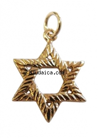 Gold Filled Textured Star of David Pendant by aJudaica