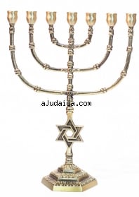 Seven Branch Large Cup Menorah by aJudaica