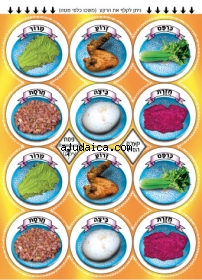 Passover Seder Plate Stickers by aJudaica