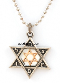 Israeli Army Star of David Bronze Pendant with Reflective Center by aJudaica