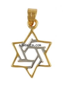 Gold Filled Two Color Star of David Pendant by aJudaica