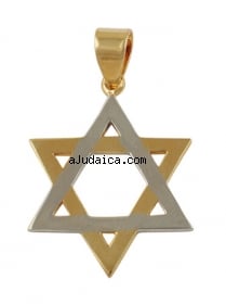 Metal Star of David pendant