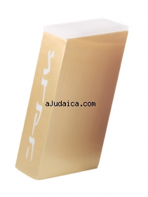 Adi Sidler gold color Tzedakah Box by aJudaica
