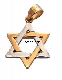 Gold Filled Classic Two Tone Star of David Pendant by aJudaica