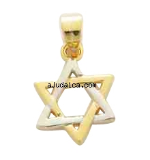 Gold Filled Mini Star of David Pendant by aJudaica