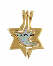 Gold Filled Star of David Dove Pendant by aJudaica