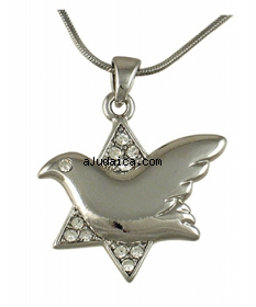 Dove of Peace Star of David Rhodium Necklace by aJudaica