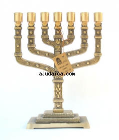 Twelve Tribes 7 Branch Menorah by aJudaica