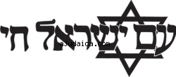 The Jewish Nation Lives Long Sleeve T-Shirt by aJudaica