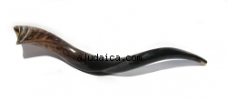 Medium Yemenite Shofar - Polished by aJudaica