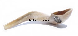 Rams Horn Shofar Sizes 15"-20" - Polished by aJudaica