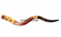 Jumbo Yemenite Hand Painted Shofar - Pomegranate Design by aJudaica