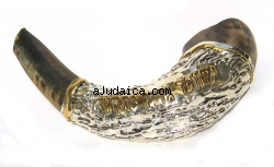 Sterling Silver plated Shofar with Gold by aJudaica