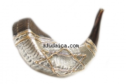 Silver and Gold Plated Shofar by aJudaica