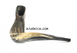 Extra Large Black Natural Rams Horn Shofar by aJudaica