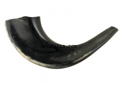 Black Rams Horn Shofar 11"-12" - Polished by aJudaica
