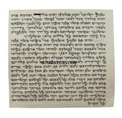 Standard Kosher Mezuzah Scroll Ashkenaz Version by aJudaica
