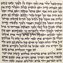 Ashkenaz Torah Scroll - Ktav Beit Yossef by aJudaica