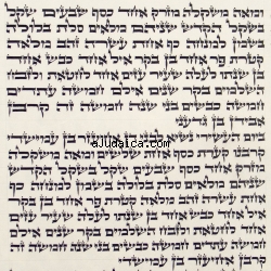 Torrah Scroll