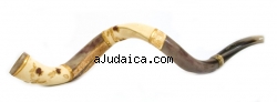 Jumbo Yemenite Hand Painted Shofar - Pomegranate Design by aJudaica