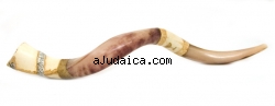 Jumbo Yemenite Hand Painted Shofar - Jerusalem Design by aJudaica