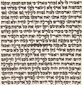 Ashkenaz Torah Scroll - Ktav Beit Yossef by aJudaica