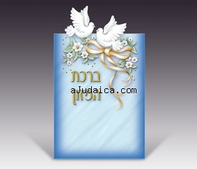 Birkat Hamazon - Doves by aJudaica