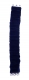 Black-Torah-Belt