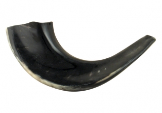 Small Black Rams Horn Shofar - Polished by aJudaica