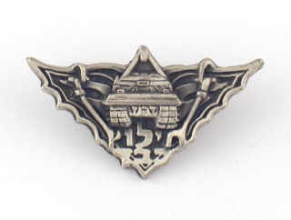Israeli Army Lapel Pin - Rescue Unit Symbol by aJudaica