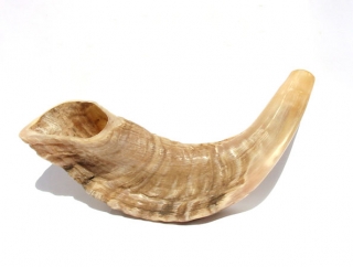 Small Rams Horn Shofar - Natural by aJudaica