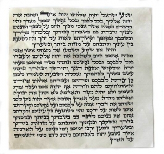 Kosher Mezuzah Scroll Ashkenaz Version - Mehudar by aJudaica