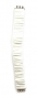 White Torah Belt