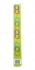 Sukkah Chain Paper Strips