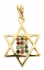 Gold Filled Twelve Tribes Star of David Pendant